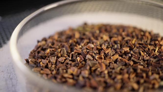 左特写 阔叶茼蒿大叶茼蒿种子蔬菜种子农作物种菜蔬果种子