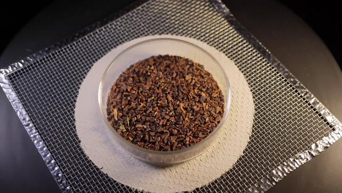 俯拍 阔叶茼蒿大叶茼蒿种子蔬菜种子农作物种菜蔬果种子4