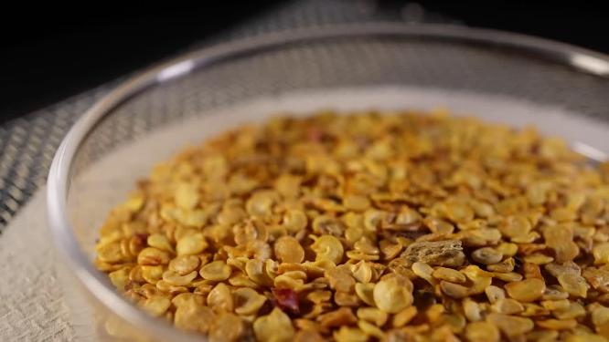 左特写 香辣二金条二荆条辣椒朝天椒种子蔬菜种子农作物种菜蔬果种子