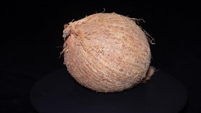 老椰子青椰子毛椰子椰宝