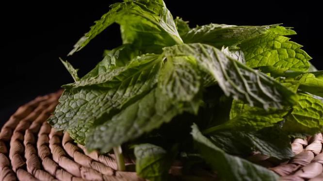 薄荷叶调味料香料6