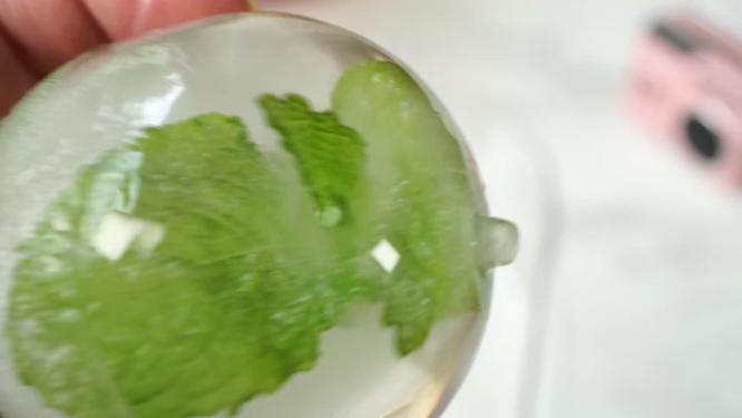 鸡尾酒冰球薄荷柠檬冰块