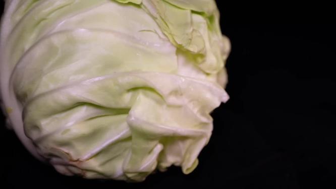 健康维生素食材圆白菜3