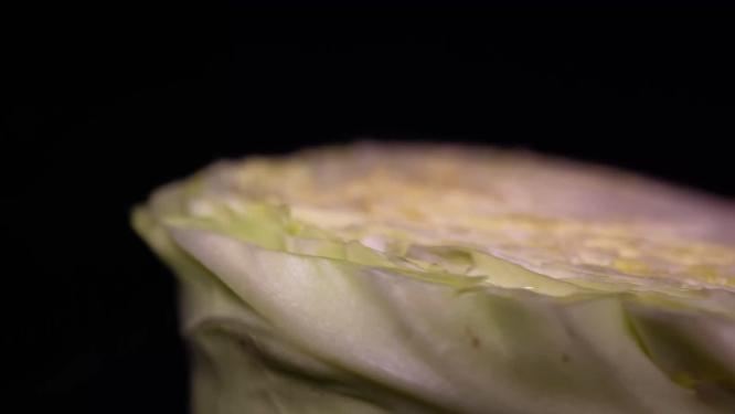 健康维生素食材圆白菜4