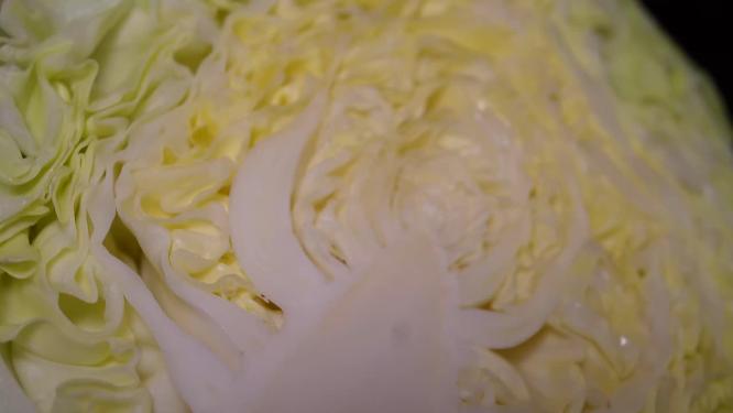 健康维生素食材圆白菜5