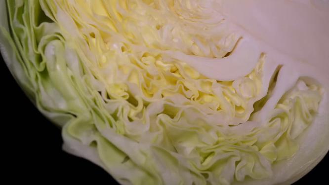健康维生素食材圆白菜6