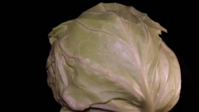 嘎达白圆白菜包菜蔬菜