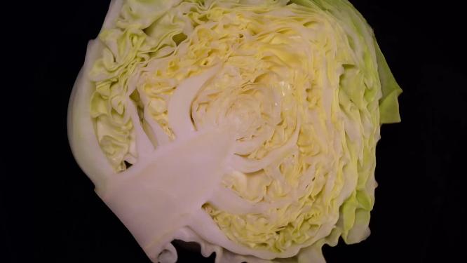 嘎达白圆白菜包菜蔬菜5