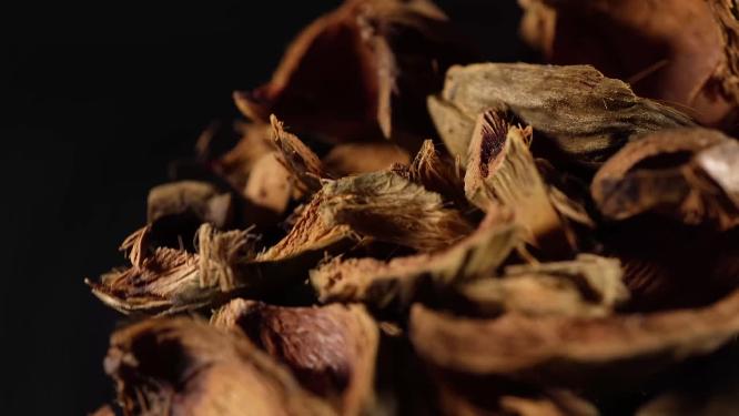 大腹皮中药中草药中医药材