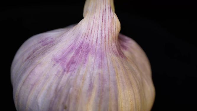 大蒜蒜头蒜瓣新蒜4