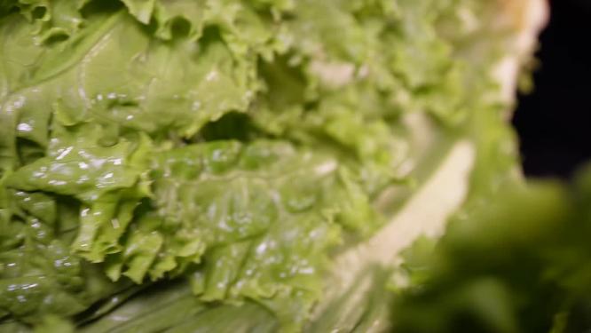 奶油生菜绿菜叶健康蔬菜6