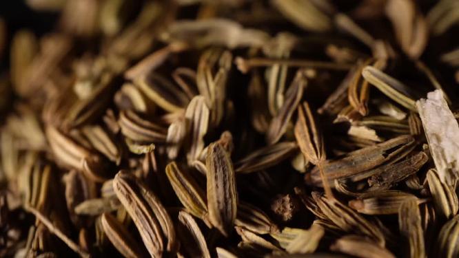 小茴香中药中草药中医药材