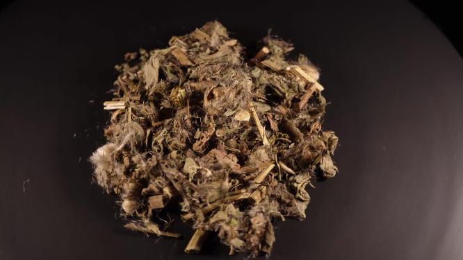 小蓟中药中草药中医药材4