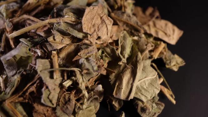 广金钱草中药中草药中医药材