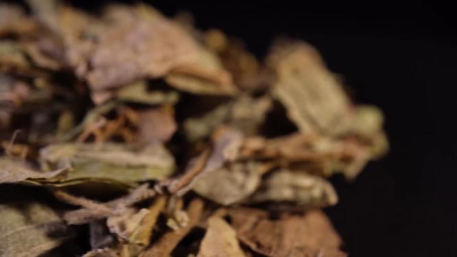 广金钱草中药中草药中医药材6