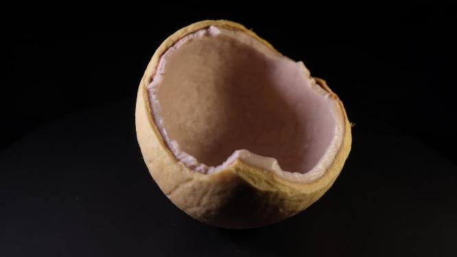 打开的椰子椰皇椰肉椰汁5