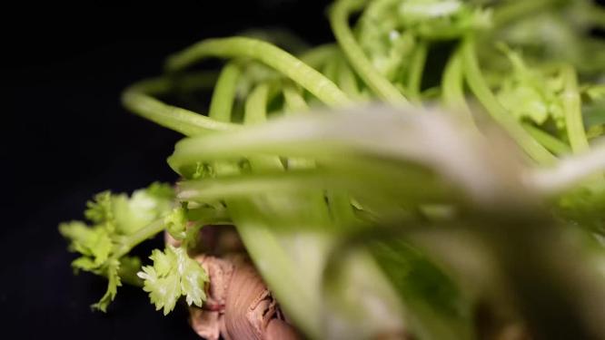 提鲜香菜蔬菜老虎菜