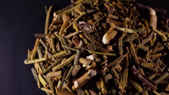 槲寄生中药中草药中医药材