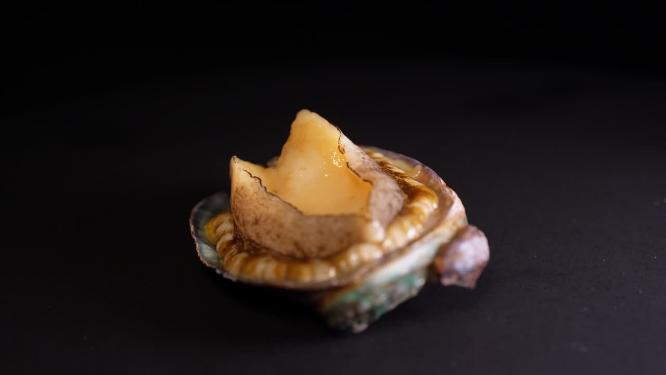 海鲜生鲜小鲍鱼3
