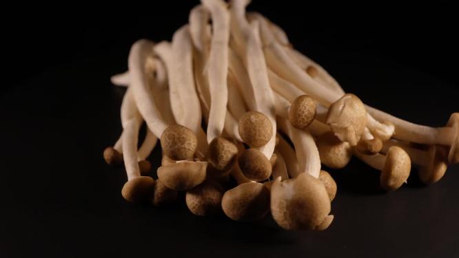 海鲜菇白玉菇蟹味菇6