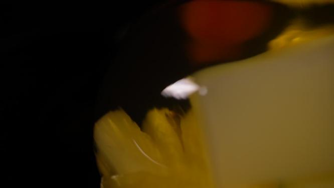 混合水果果冻4