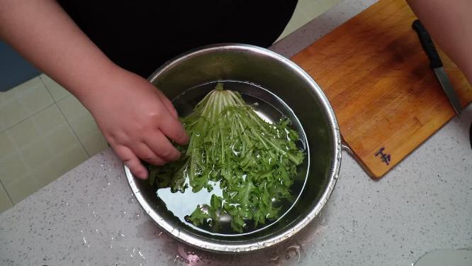 清洗夏季去火苦菊蔬菜5