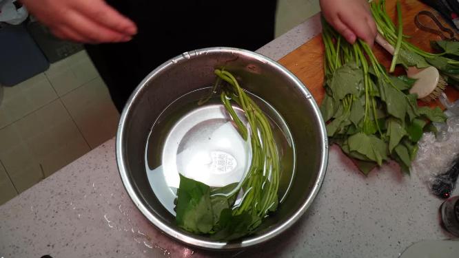 清洗红薯苗白薯秧野菜蔬菜
