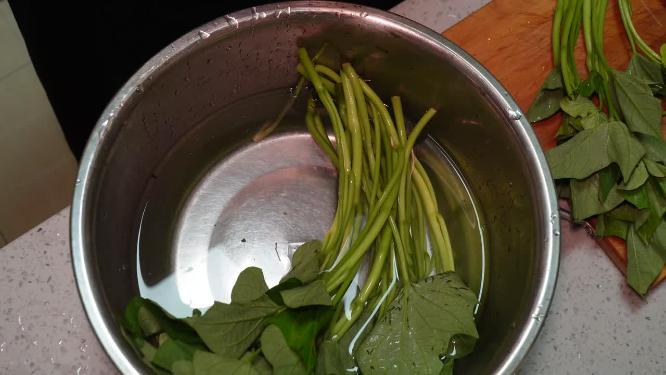 清洗红薯苗白薯秧野菜蔬菜3
