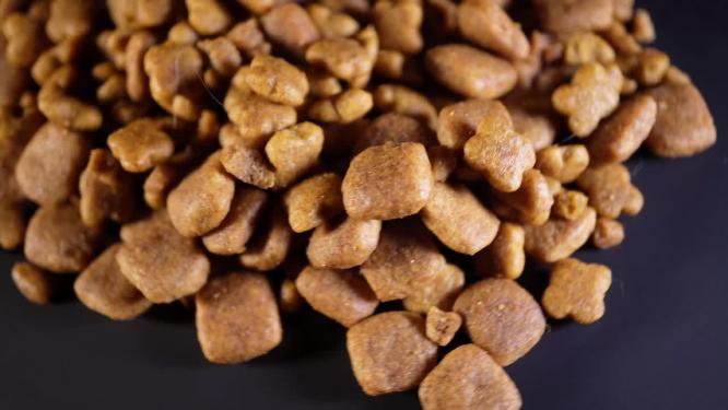 猫粮狗粮宠物食品6