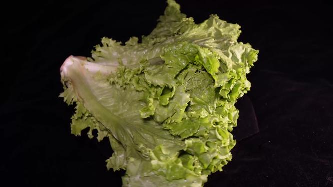 生菜罗马生菜菜叶子