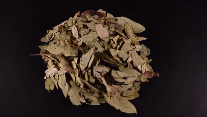 番泻叶中药中草药中医药材4