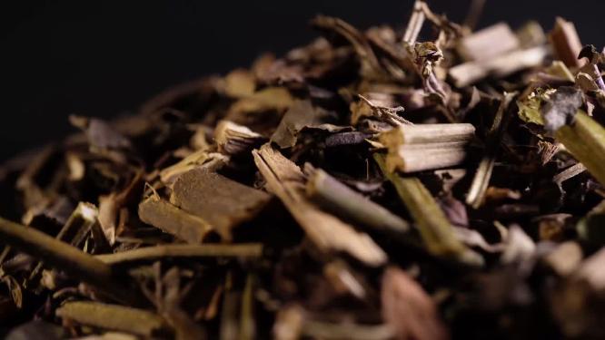 石见穿中药中草药中医药材3