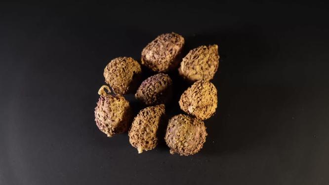 砂仁中药中草药中医药材4