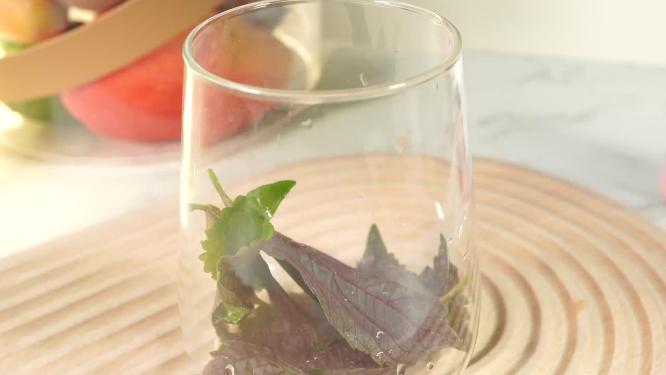 紫苏叶茶热水冲泡紫苏茶3