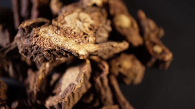 羌活中药中草药中医药材3
