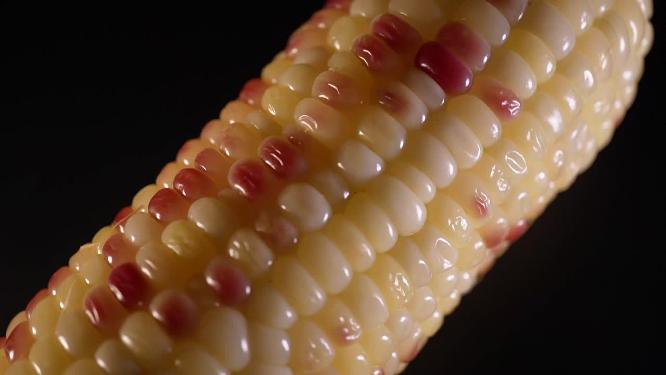 老玉米黏玉米糯玉米4