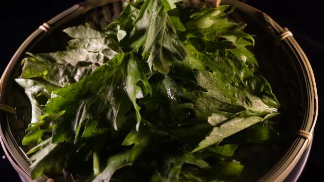 芹菜叶蔬菜叶子绿色蔬菜