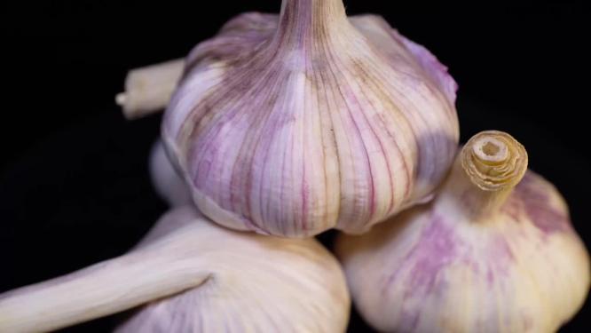 蒜头大蒜杀菌蒜米3