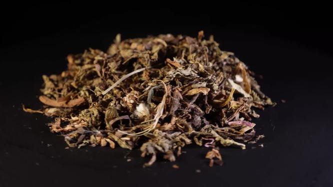 蒲公英中药药材中草药