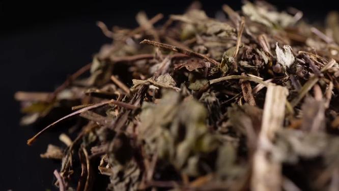 蛇莓中药中草药中医药材