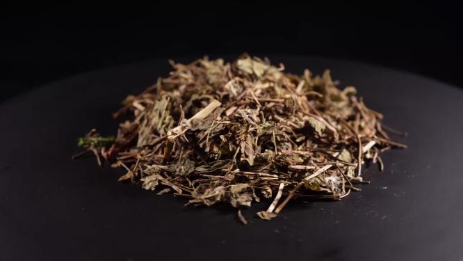 蛇莓中药中草药中医药材5