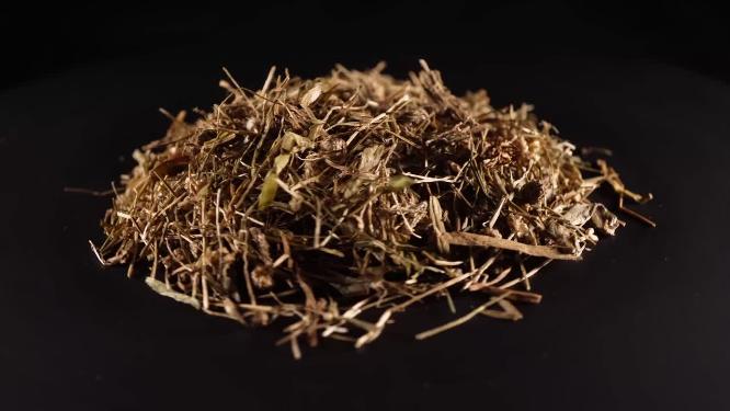 谷精草中药中草药中医药材4