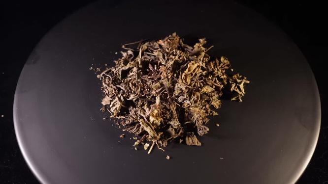 车前草中药中草药中医药材5