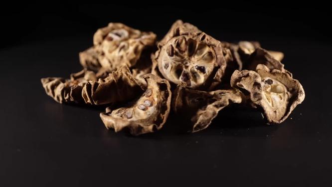预知子中药中草药中医药材4