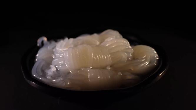 魔芋丝魔芋结食材5