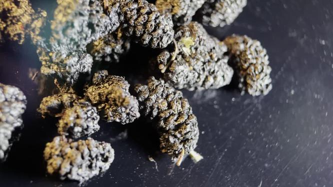 4k中医代茶饮桑葚干