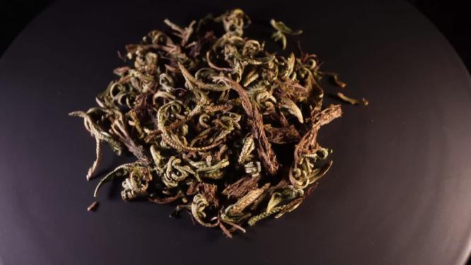 卷柏中药中草药中医药材4