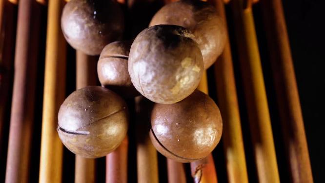 夏威夷果坚果干果5