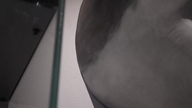 大白鲨鲨鱼牙齿模型4