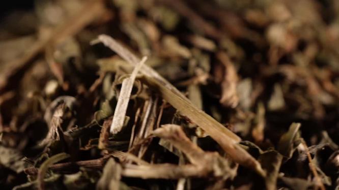 萹蓄中药中草药中医药材3
